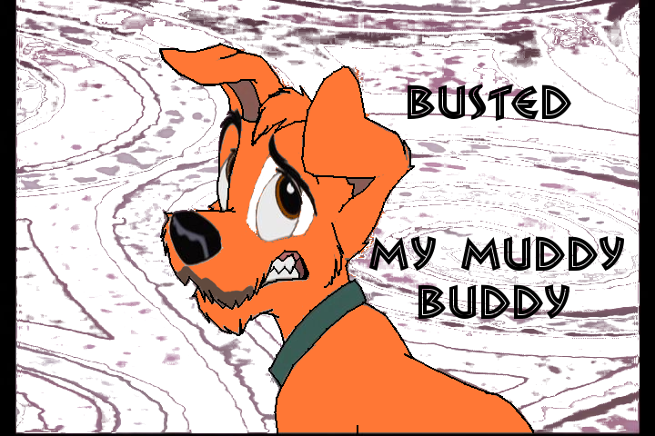 Busted