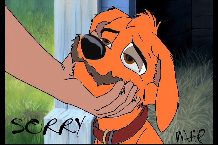 SORRY