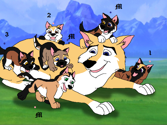 Pup adoption