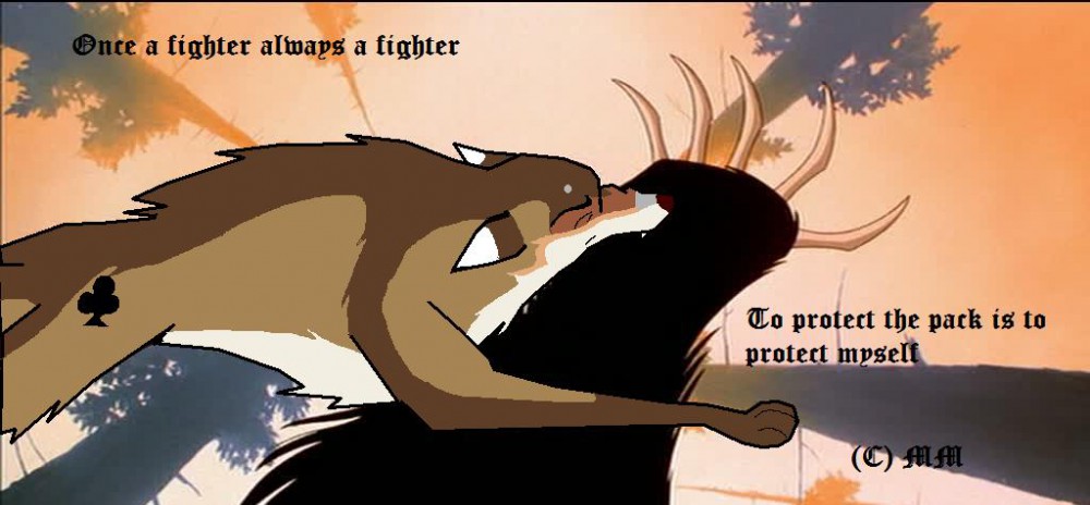 Tiziana Vs Bear.