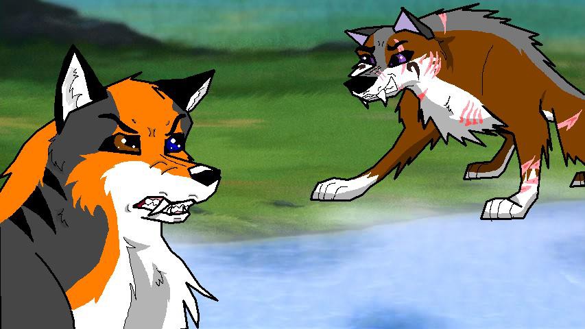 First costom image