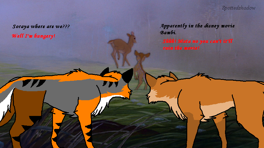 Why are we in Bambi???