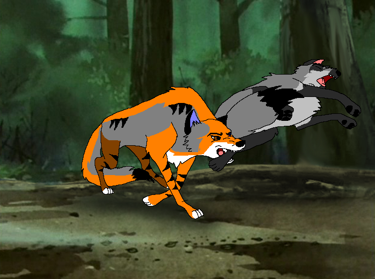 Never sneak up on me!