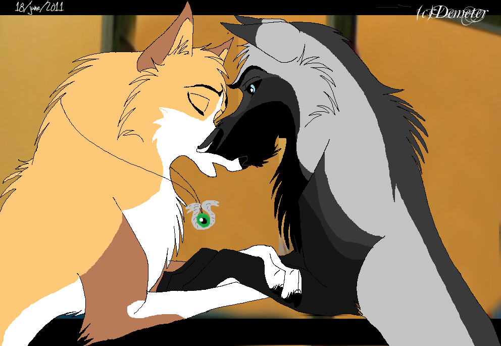 d'aww