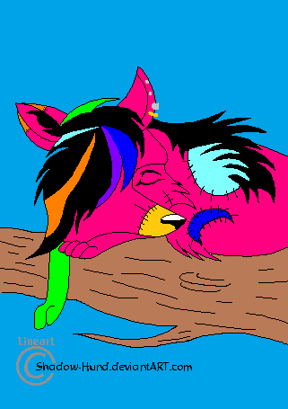 Sleeping Confetti