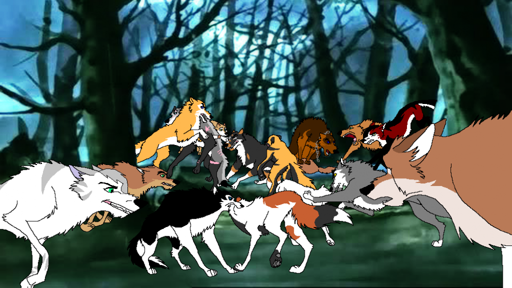 woah Dog fight