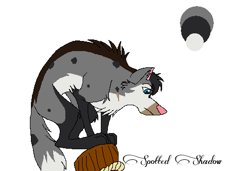 Kasumi ref