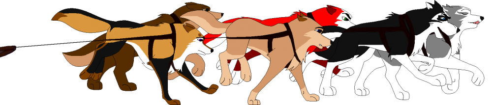 Sled team #1