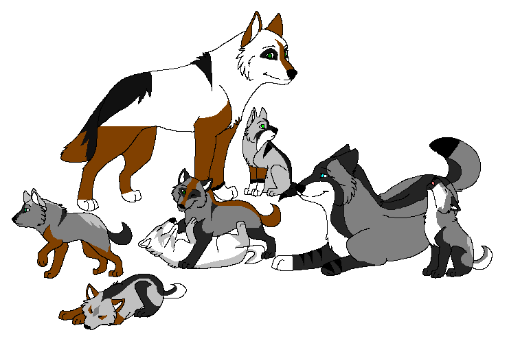 POSSIBLE Matsuko and Kajis second litter