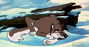 Dagger Aleu's mate