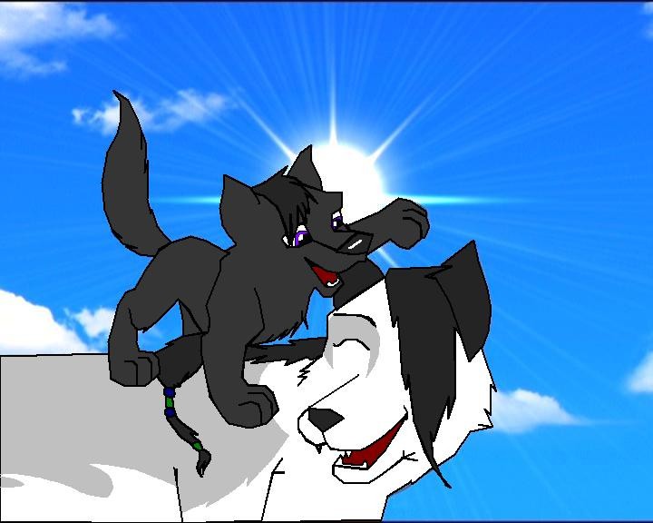 Puppy rit and her big sister......
