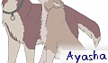 ayasha