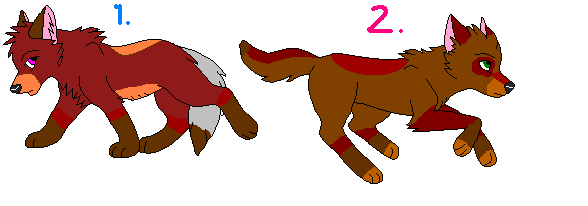 Adoptable's 2