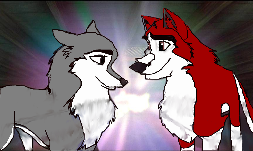 Kodi and dusty