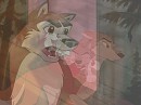 kodi et aleu
