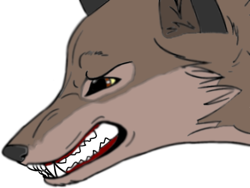 balto...