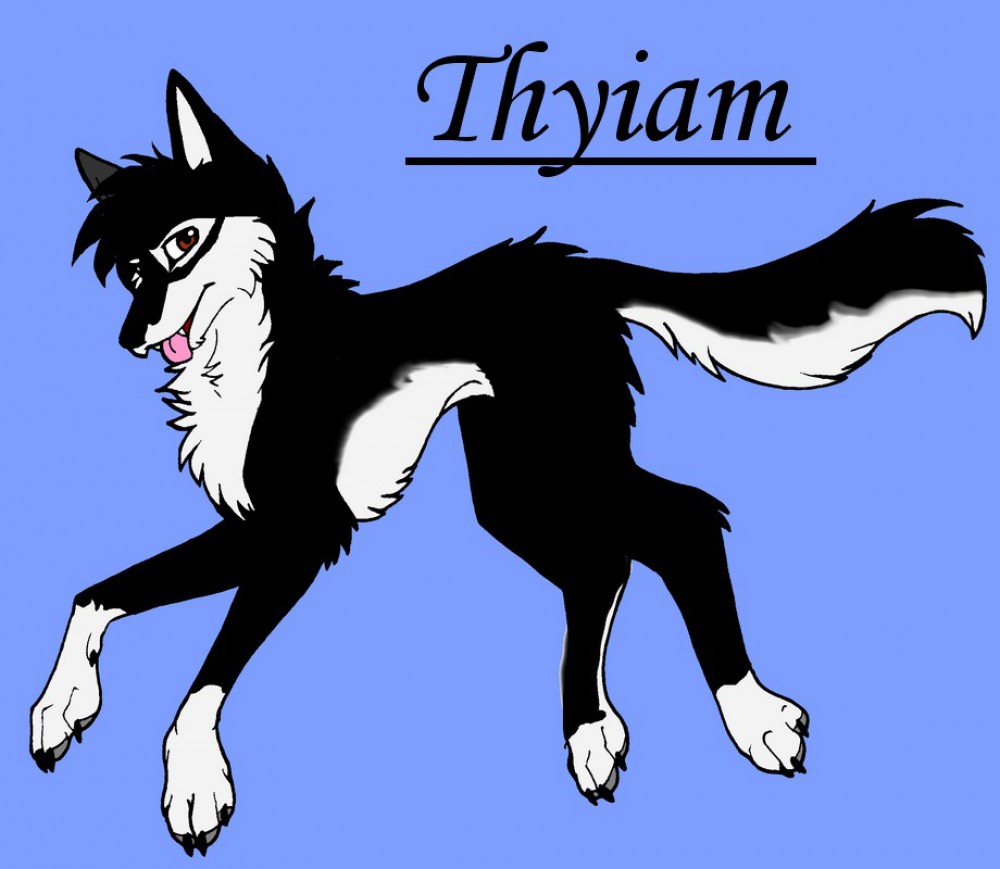 petit cadeau thythy