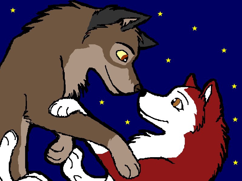 l'amour brille sous les étoile
