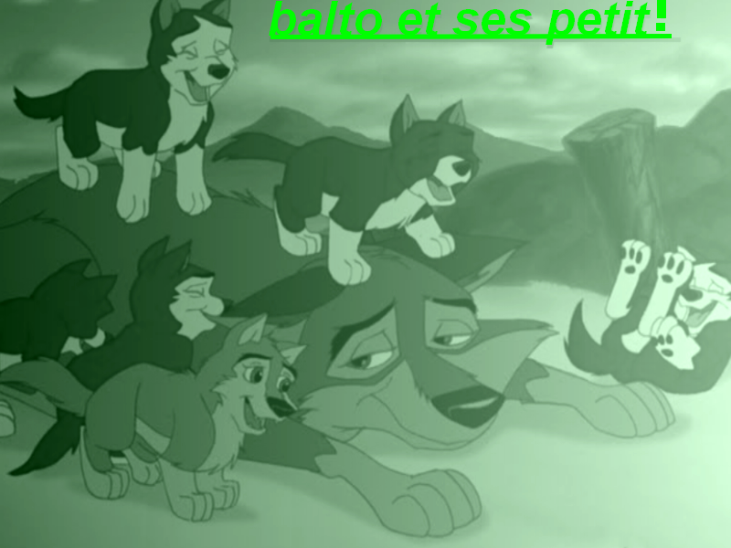  balto et ses petit