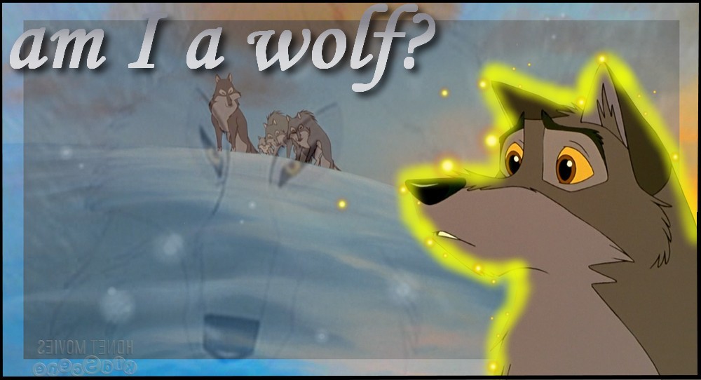 est-ce que je suis un loup ?
