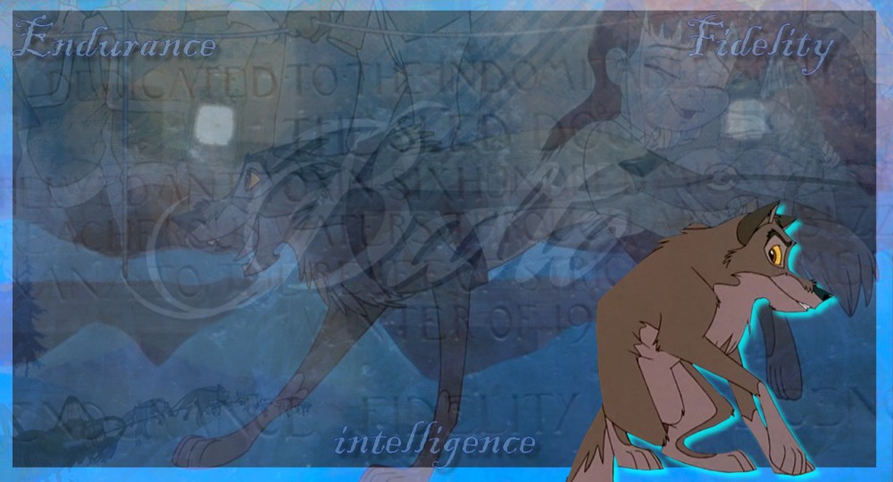 Balto: Endurence, fidelity, intelligence ..
