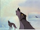 balto un vrais chien-loup