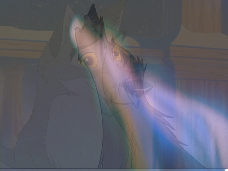 balto un petit cotée loup en lui