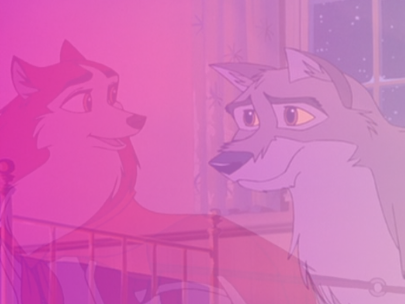 balto qui pense à jenna