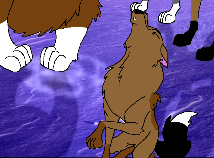 White Tip Howls to her mom