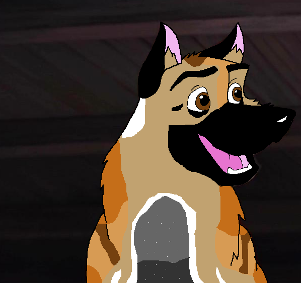 My Blume Malinois!