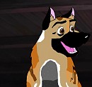 My Blume Malinois!