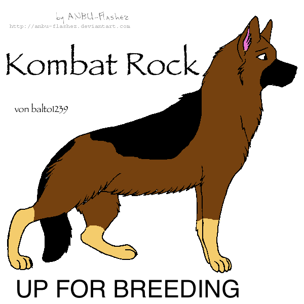 Up for Breeding! Bring Your approved Female!