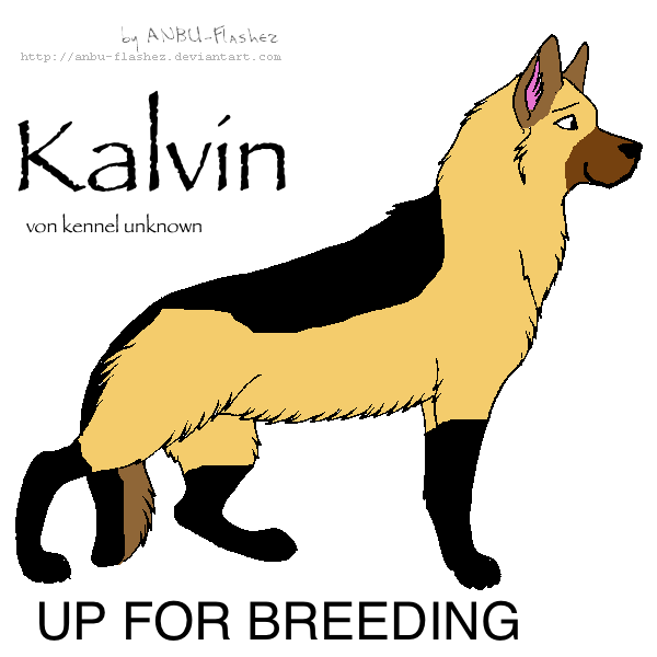 Up for Breeeding! Bring Approved Females!