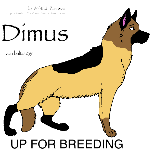Up for Breeding! Bring Approved Females!