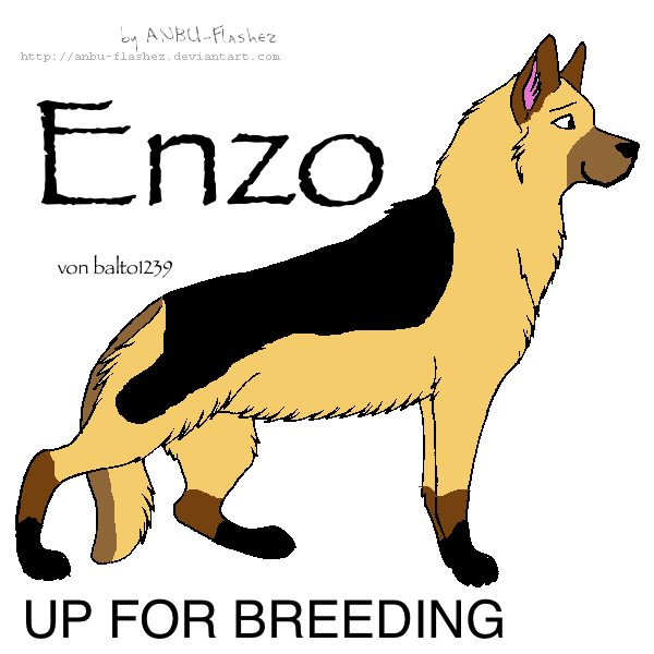 Up for Breeding! Bring Approved Females!