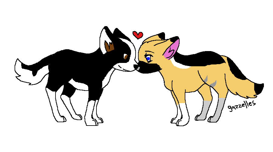 Grace and Boomerang