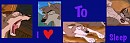 Free Signature for Forums