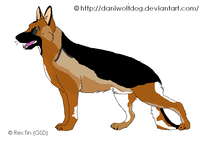 Yappo--> My First REAL German Shepherd Character
