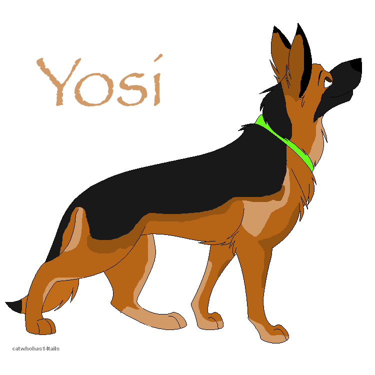 Yosi--> New Design!