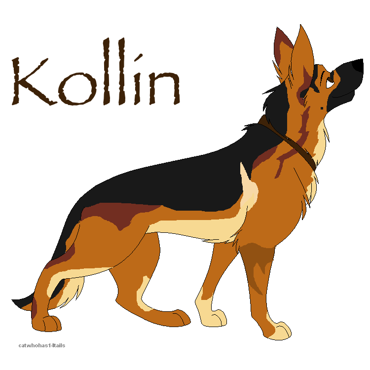 New Look for Kollin ^^