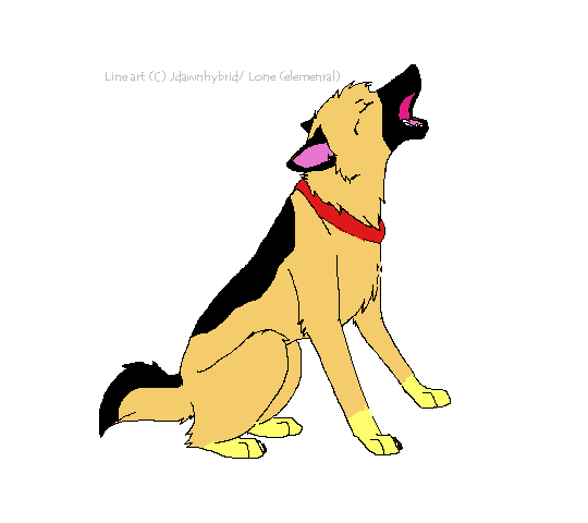 Casbah Howling