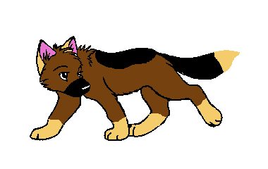 Tsugar as a pup