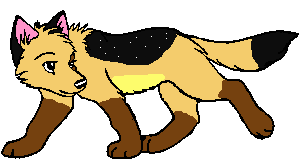 Anschi as a pup