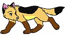 Anschi as a pup