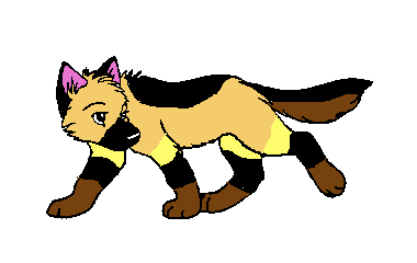 Liro as a pup