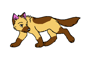 Anka as a Puppy