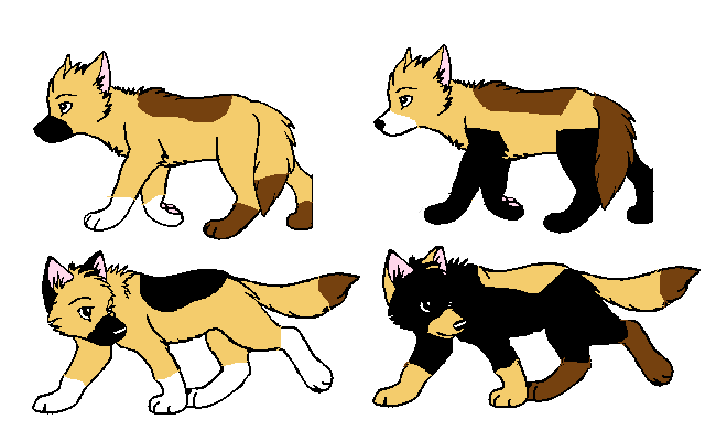 Emma and Takali's First Litter