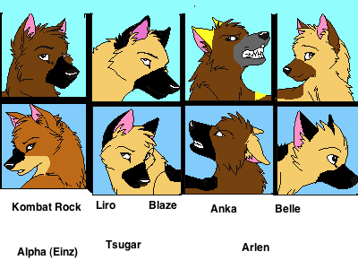 All of Casbah and Odenius' pups