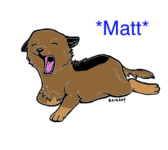 Matt