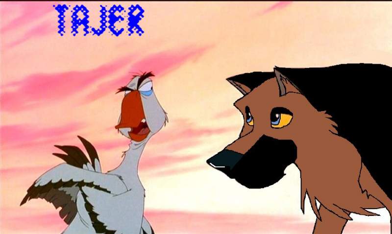 Tajer